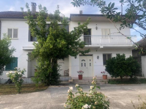 Wonderful villa in the city center of Shkodër
